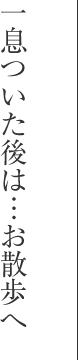 一息ついた後は…お散歩へ